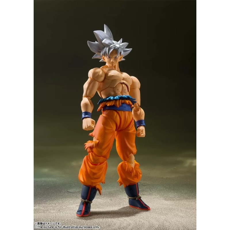 Bandai Tamashii Nations S.H.Fi - Bandai Tamashii Nations S.H.Figuarts 评论和价格
